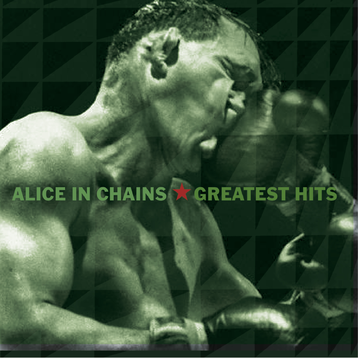 Greatest Hits|Alice In Chains