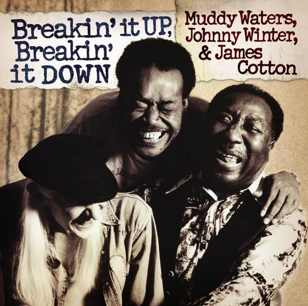 Breakin' It Up & Breakin' It Down|Muddy Waters