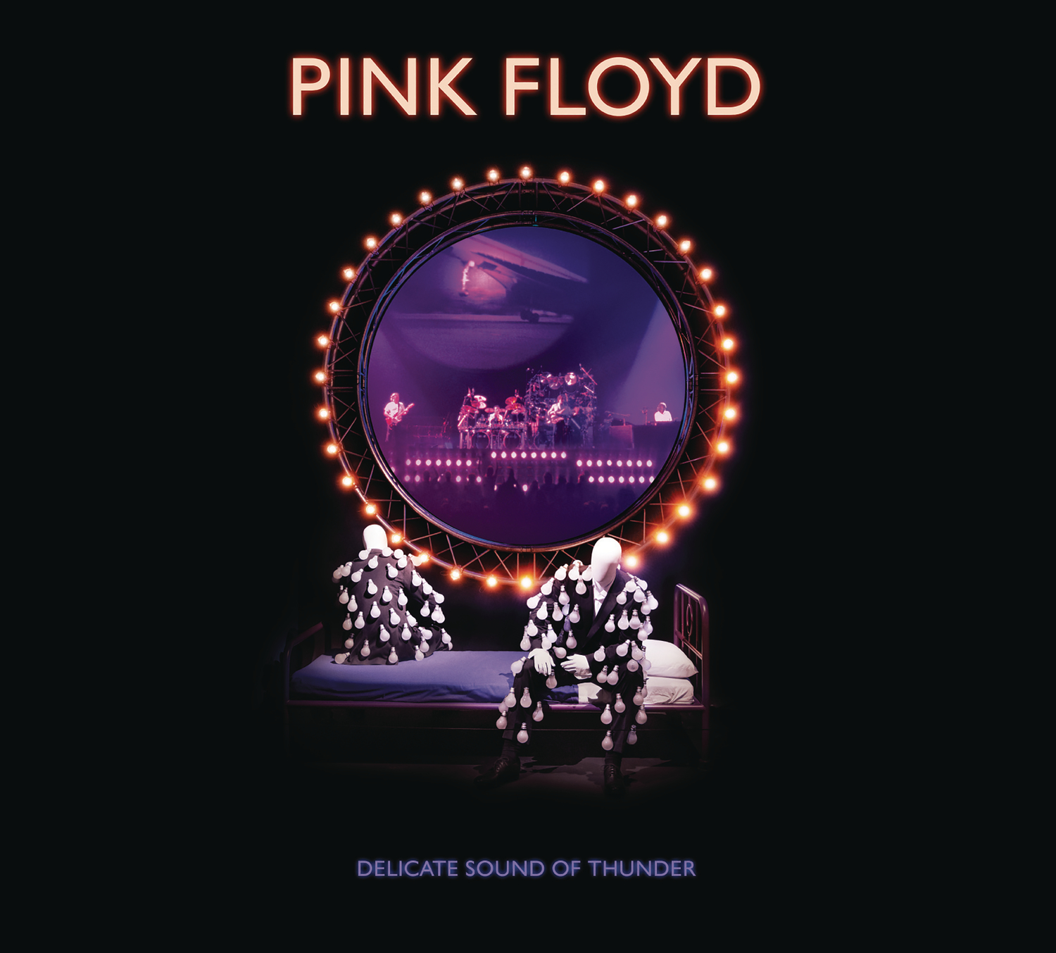 Delicate Sound of Thunder -  Pink Floyd